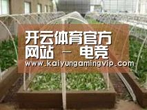 环境展示五