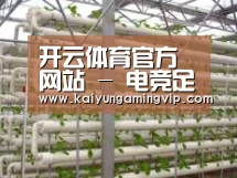 环境展示六