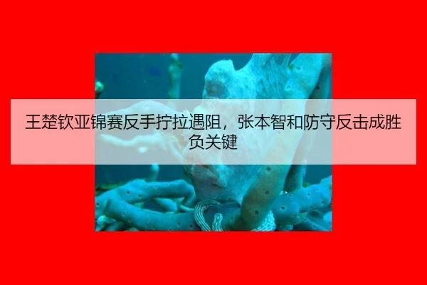 wang-chu-qin-ya-jin-sai-fan-shou-ning-la-yu-zu-zhang-ben-zhi-he-fang-shou-fan-ji-cheng-sheng-fu-guan-jian-3-507.jpg