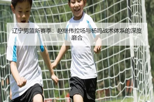 辽宁男篮新赛季：赵继伟控场与杨鸣战术体系的深度磨合