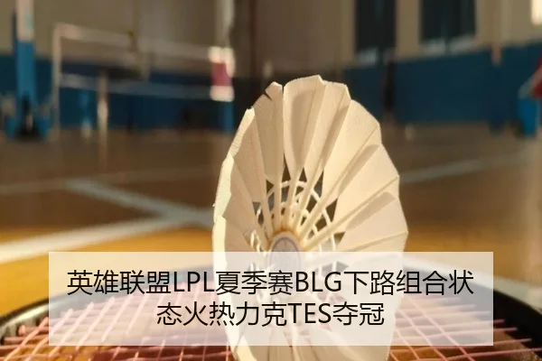 英雄联盟LPL夏季赛BLG下路组合状态火热力克TES夺冠
