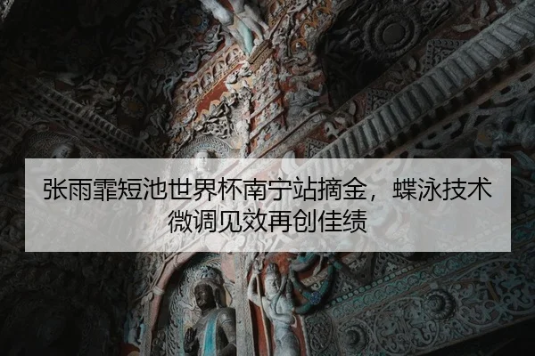 zhang-yu-fei-duan-chi-shi-jie-bei-nan-ning-zhan-zhai-jin-die-yong-ji-shu-wei-diao-jian-xiao-zai-chuang-jia-ji-2-648.jpg